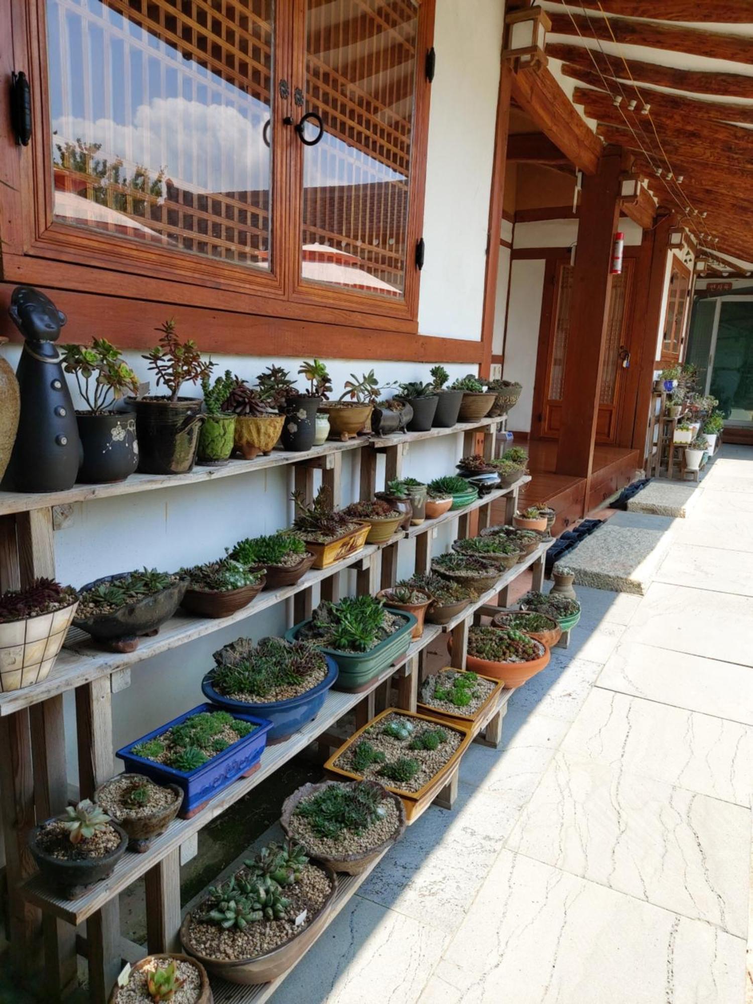 Hanok Raon كَونتو المظهر الخارجي الصورة