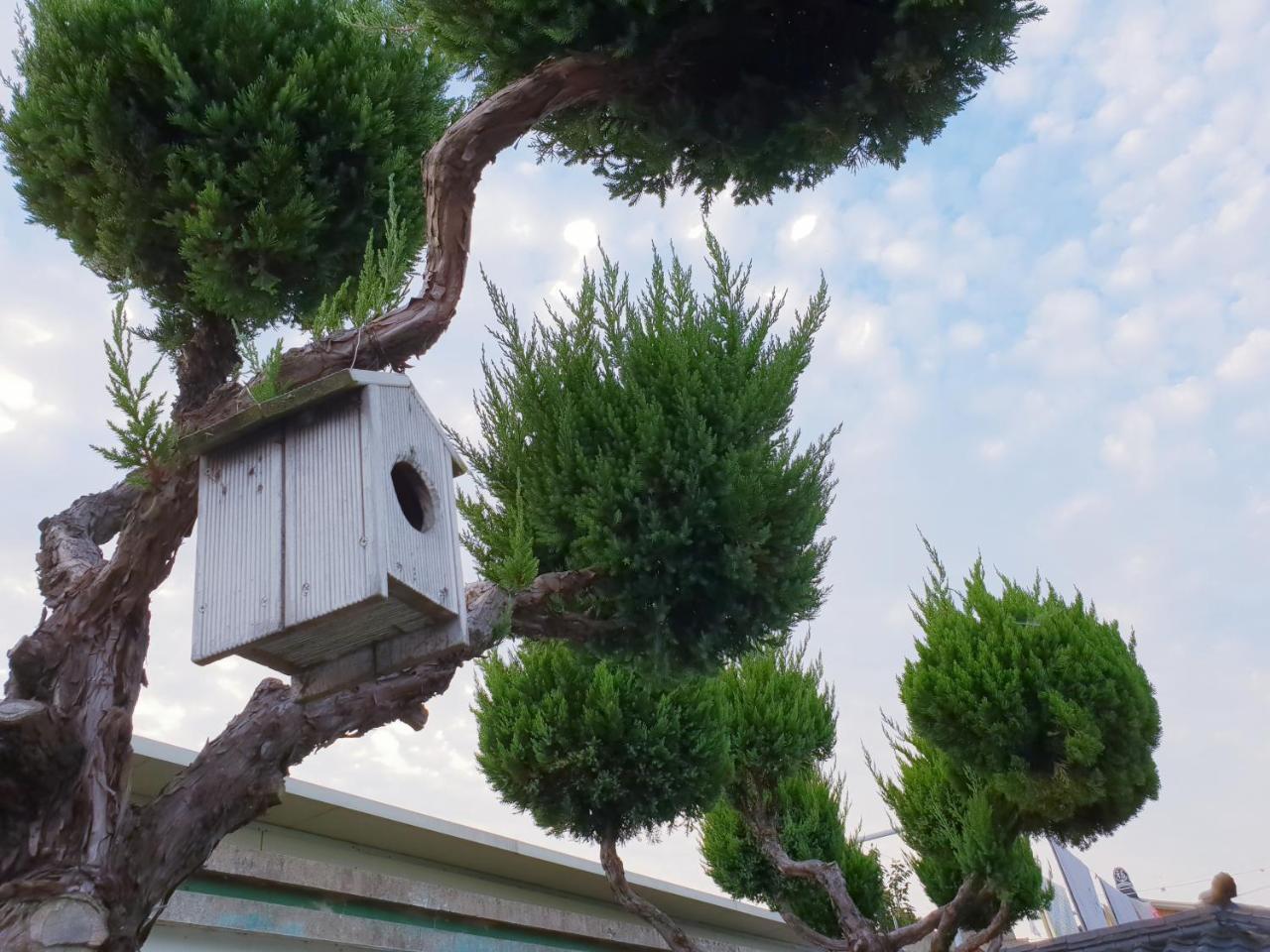 Hanok Raon كَونتو المظهر الخارجي الصورة