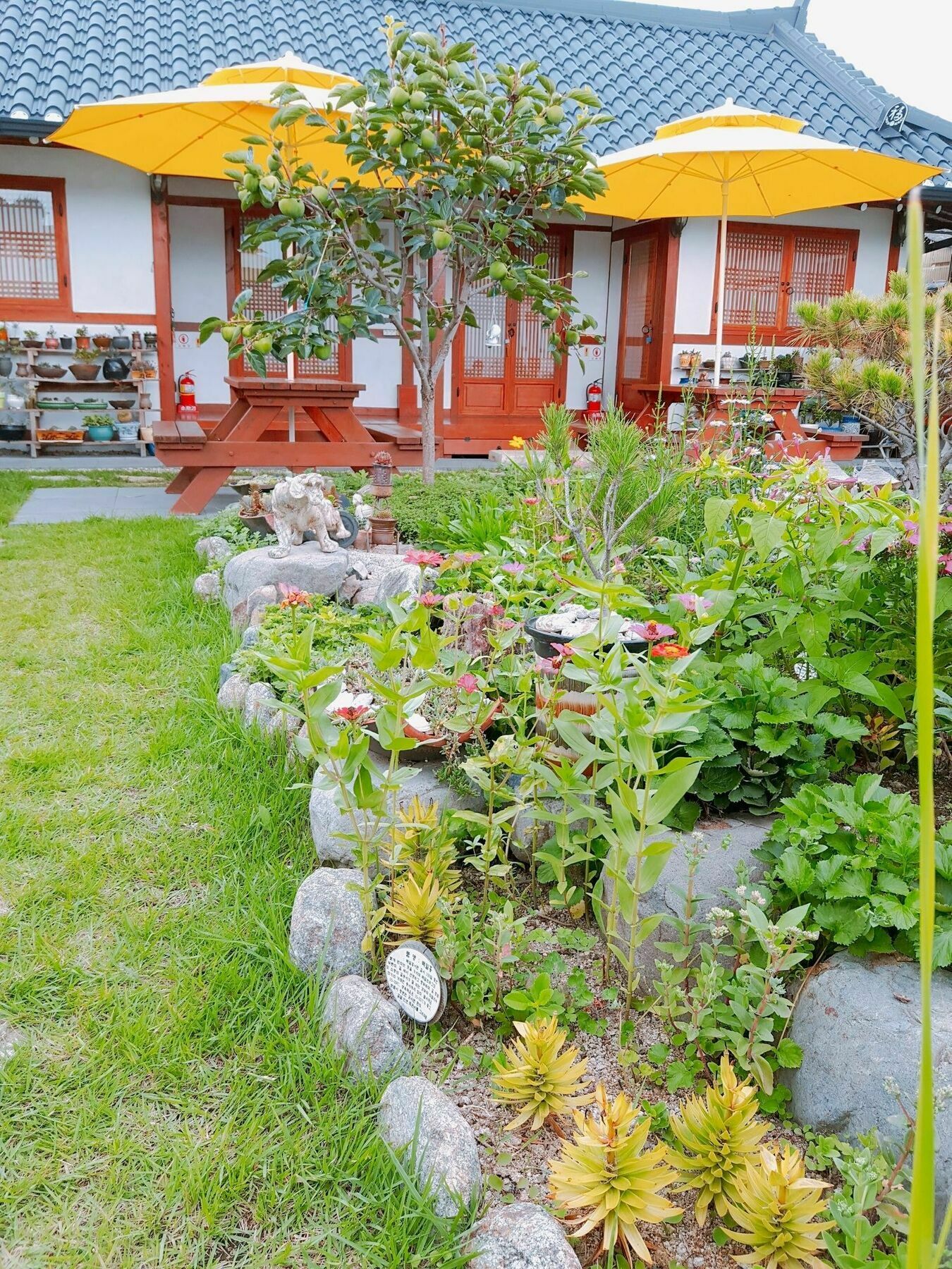 Hanok Raon كَونتو المظهر الخارجي الصورة